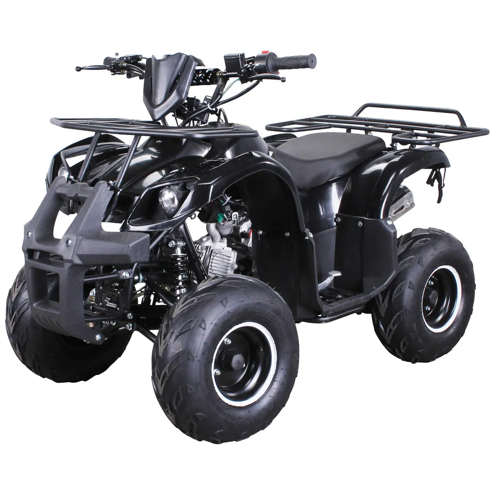 actionbikes-s-8-farmer-jugend-quad-125ccm-schwarz-50-km-h image 1